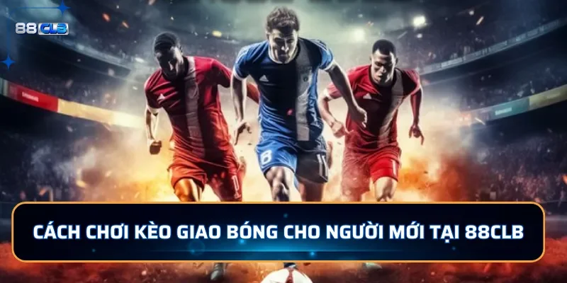 Kinh nghiệm bắt kèo giao bóng từ chuyên gia