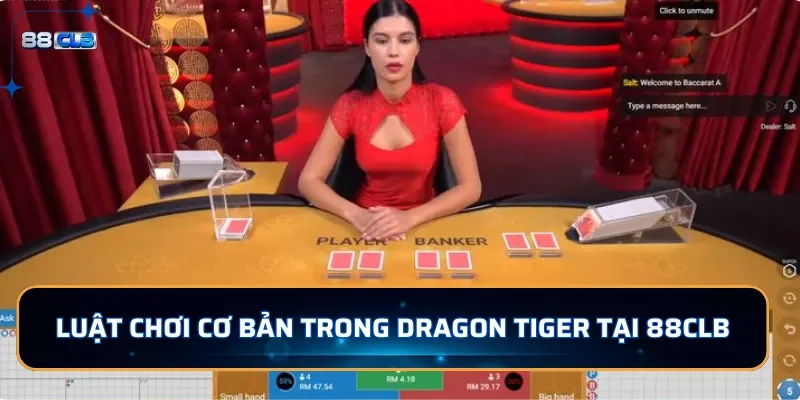 Luật chơi cơ bản trong Dragon Tiger tại 88CLB