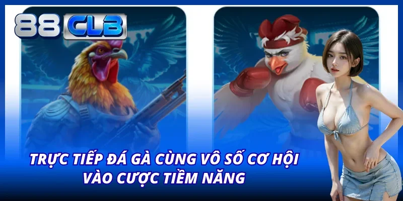 Trực tiếp đá gà cùng vô số cơ hội vào cược tiềm năng