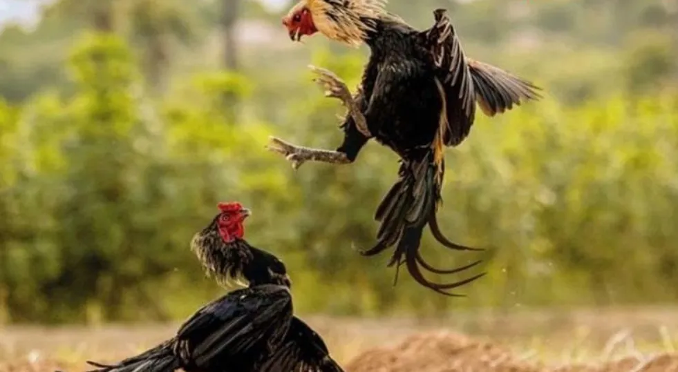 Chọn sân chơi uy tín để tham gia chơi trải nghiệm săn thưởng lớn